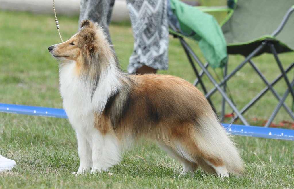 Photo: Reidun Monsholm